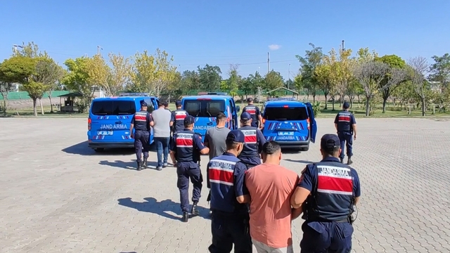 Köpekleri dövüştürüp sosyal medyada paylaştılar, jandarma ekiplerince operasyonla yakalandılar