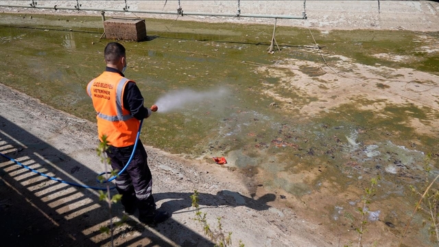 Elazığ'da İlaçlama çalışmaları sürüyor