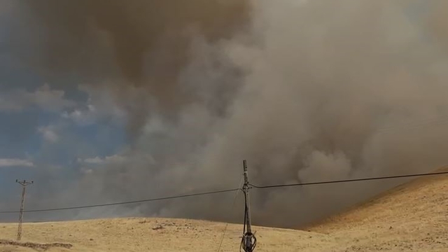 Karakoçan'da örtü yangını