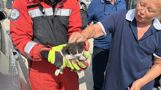 Otomobilin motor bölümüne sıkışan kedi kurtarıldı