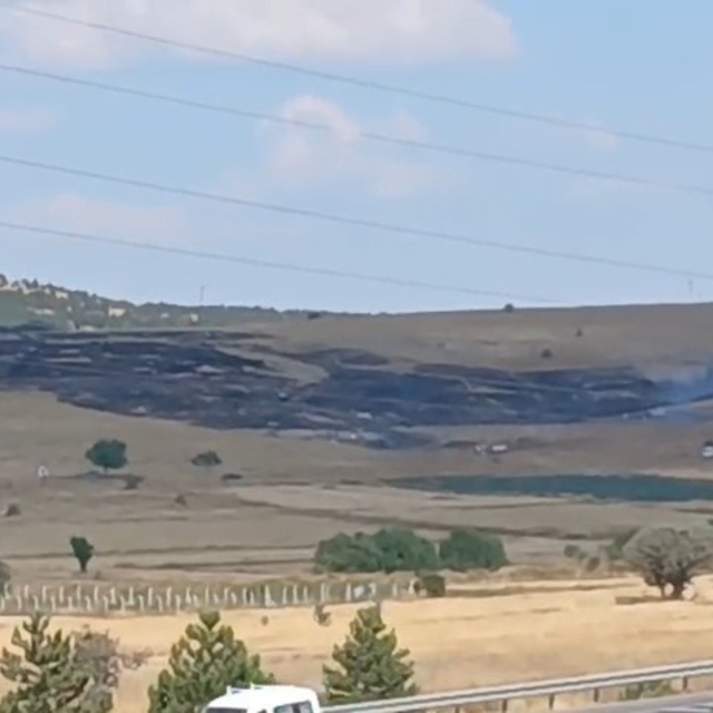 Kütahya'da otluk alanda çıkan yangın bekçi kulübesine sıçradı