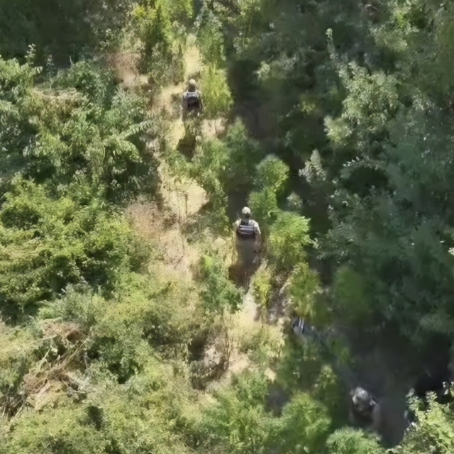 Hatay'da 915 kök kenevir ve 39,5 kilo esrar ele geçirildi