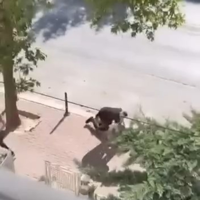 Yolda karşılaştığı husumetlisini bıçakla öldürdü; o anlar kamerada