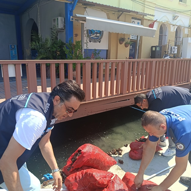 İzmir'de yasa dışı yollarla avlanılan 560 kilo kara midyeye el konuldu