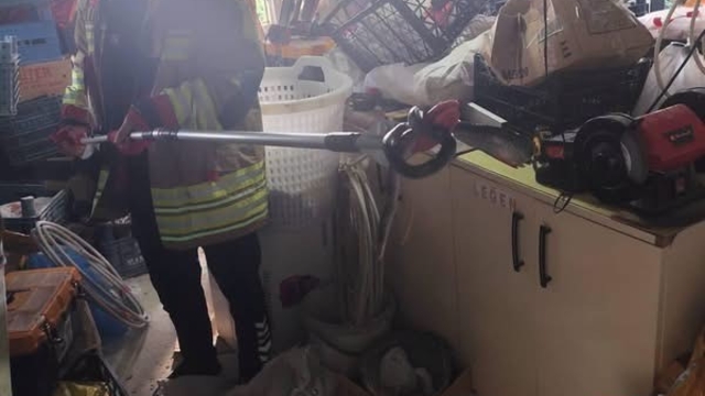 Hatay'da yerleşim yerlerine giren yılanlar yakalandı