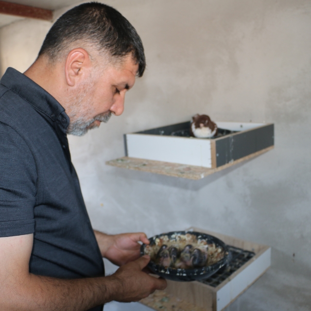 Küllerinden doğan güvercin oteli yeniden kapılarını açtı