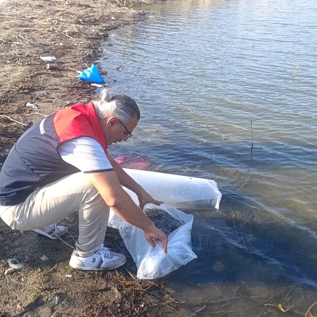 Göletlere 80 bin yavru balık bırakıldı