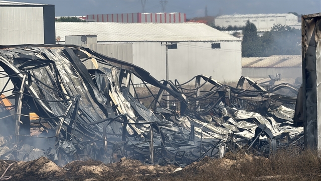 Kocaeli'de kimya fabrikasında yangın: 2 işçi yaralandı, 2 at telef oldu