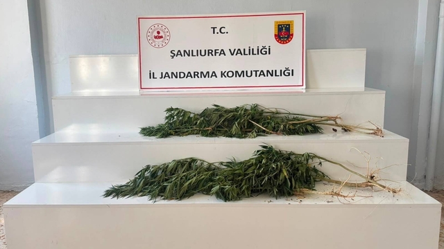 Şanlıurfa'da uyuşturucu operasyonu: 2 gözaltı