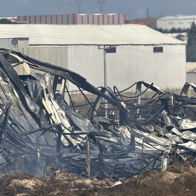 Kocaeli'de kimya fabrikasında yangın: 2 işçi yaralandı, 2 at telef oldu