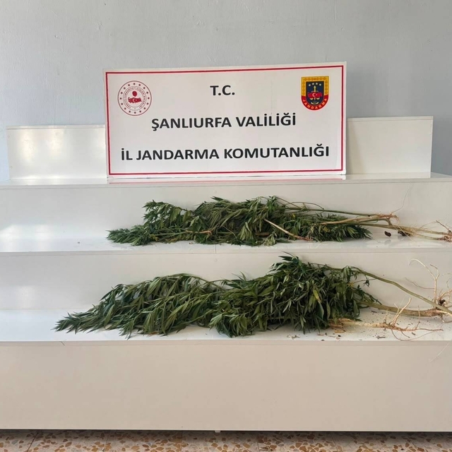 Şanlıurfa'da uyuşturucu operasyonu: 2 gözaltı