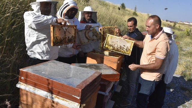 Üniversitenin arı işletmesinde bal hasadı başladı
Bitlis balının kalitesi üniversite laboratuvarında takip edilecek