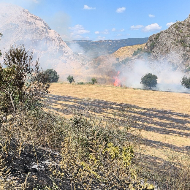 Tokat'ta ot yangını, büyümeden söndürüldü