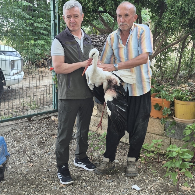 Evinin önüne gelen yaralı leyleğe sahip çıktı