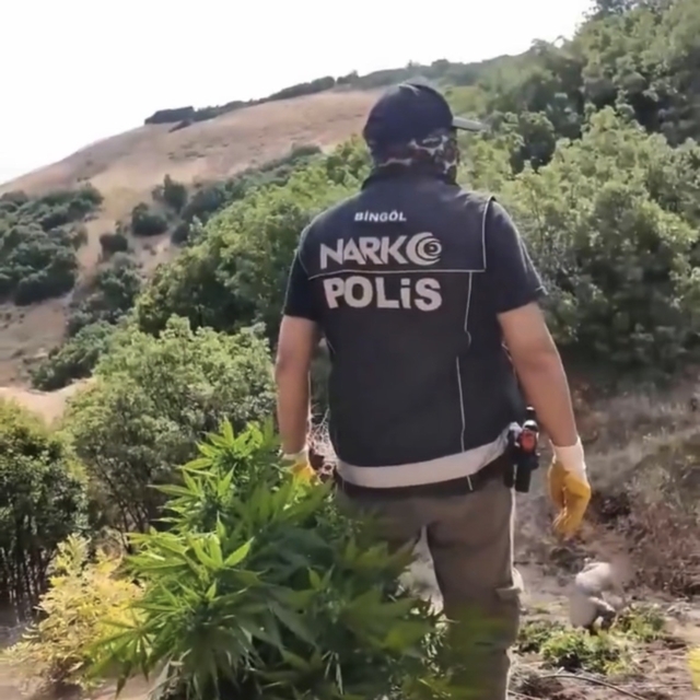 Bingöl'de uyuşturucu operasyonu: 3 şüpheli tutuklandı