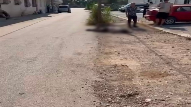 Eşi ve eniştesini tabancayla öldüren şüpheli tutuklandı
