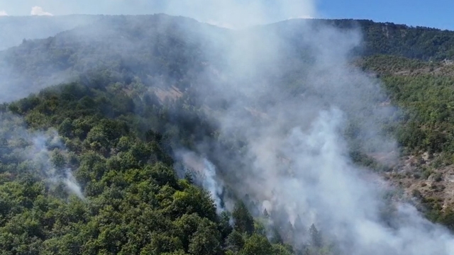 Sinop'ta orman yangını
Alevler havadan görüntülendi