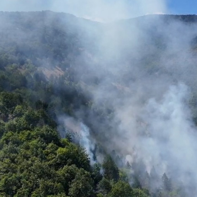 Sinop'ta orman yangını
Alevler havadan görüntülendi