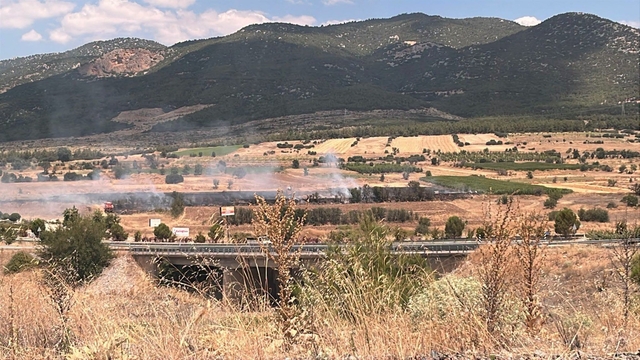 Burdur'da 20 dönümlük otluk alanda yangın