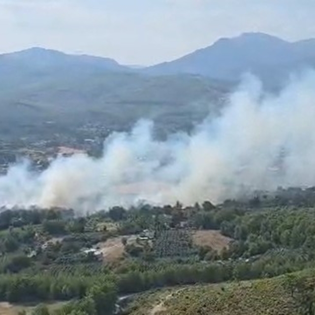 Seydikemer'de orman yangını