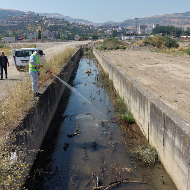 Tokat'ta sivrisinek ve haşerelere karşı kapsamlı ilaçlama seferberliği
