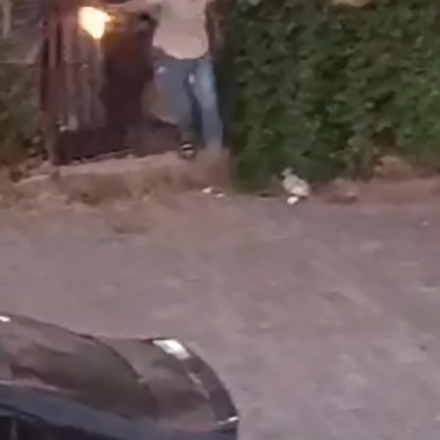 Sokak ortasında silahlı kavga: 3 yaralı