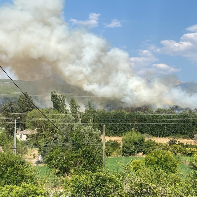 Seydikemer'deki orman yangınına 7 hava aracı ile müdahale ediliyor