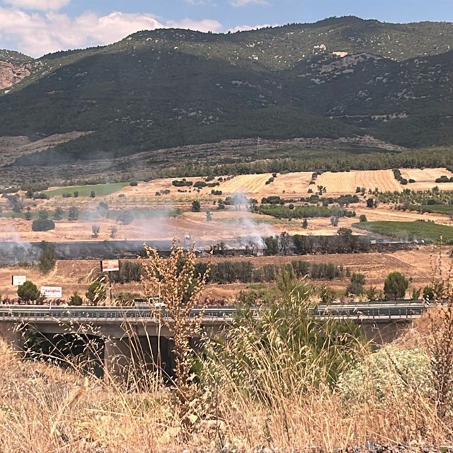Burdur'da 20 dönümlük otluk alanda yangın