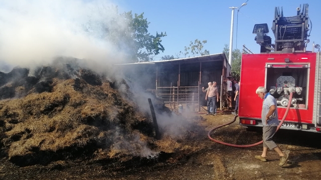 Edirne'de 500 saman balyası yandı