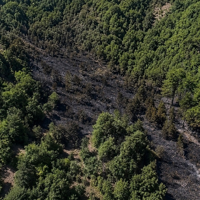 Sinop'taki orman yangını kontrol altına alındı
