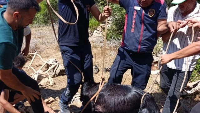 Su kuyusuna düşen keçi itfaiyenin operasyonuyla kurtarıldı