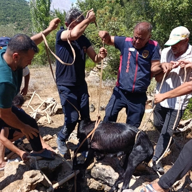 Su kuyusuna düşen keçi itfaiyenin operasyonuyla kurtarıldı