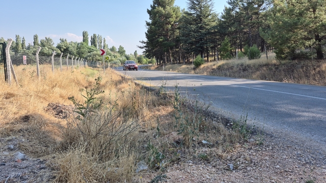 Mahalle muhtarından yol kenarlarındaki kurumuş otlar için 'yangın' uyarısı
Kızılinler Mahalle Muhtarı İbrahim Can:
"En küçük bir kıvılcımda alev alabilecek durumdalar"
"Bir temizlik yapılması gerçekten çok iyi olur"
"Büyükşehir Belediyesi ve Orman Bölge Müdürlüğü'nden çalışma bekliyoruz"