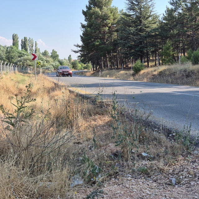 Mahalle muhtarından yol kenarlarındaki kurumuş otlar için 'yangın' uyarısı...