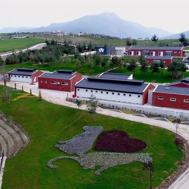 Denizli Büyükşehir Belediyesinden barınak iddialarına suç duyurusu
