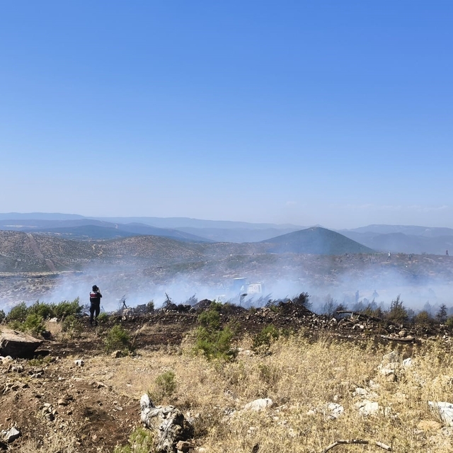 Menteşe'de makilik yangını