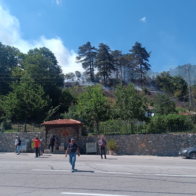 Sinop'taki orman yangınıyla ilgili 1 kişi gözaltında