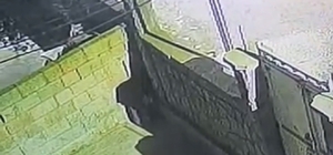 Başına poşet geçirip bisiklet çaldı