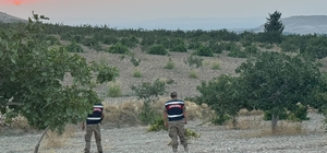Jandarmadan fıstık nöbeti
Birecik'te jandarmadan gece gündüz güvenlik mesai...