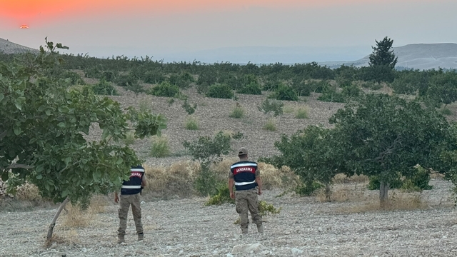 Jandarmadan fıstık nöbeti
Birecik'te jandarmadan gece gündüz güvenlik mesaisi