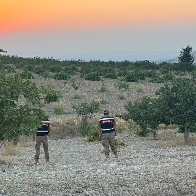 Jandarmadan fıstık nöbeti
Birecik'te jandarmadan gece gündüz güvenlik mesai...