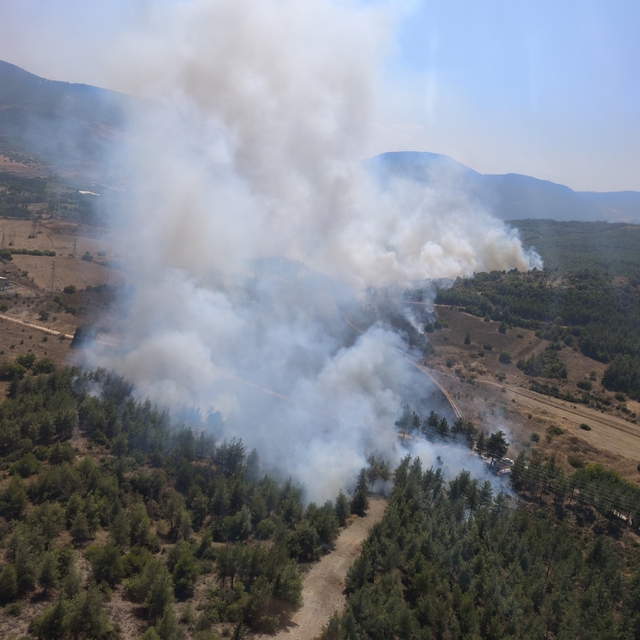 Bilecik'te başlayan orman yangınına karadan ve havadan müdahale ediliyor