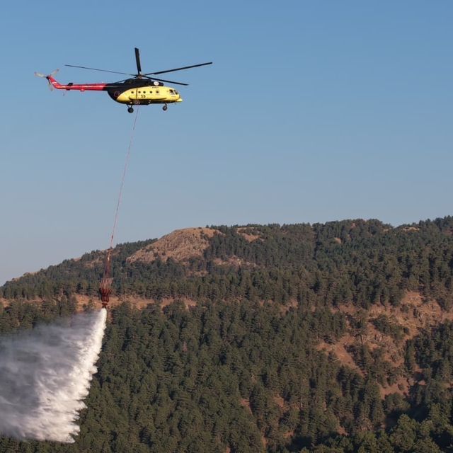 Kuyucak'taki orman yangını kontrol altına alındı