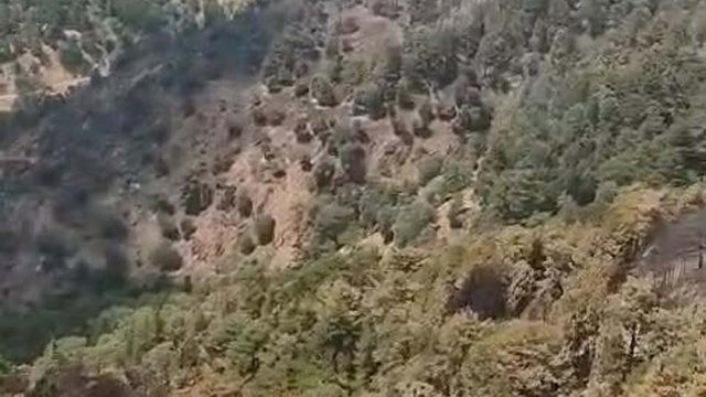 Aydın'daki orman yangını 2'nci gününde (2)