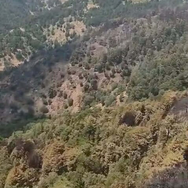 Aydın'daki orman yangını 2'nci gününde (2)