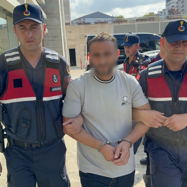 Ayva dalını kestiği için amcasını öldüren gurbetçi yakalandı