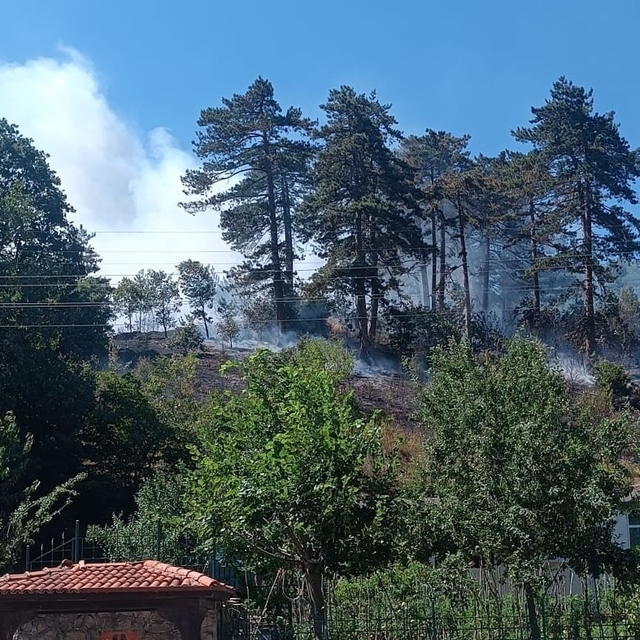 Sinop'taki orman yangınıyla ilgili 1 kişi tutuklandı