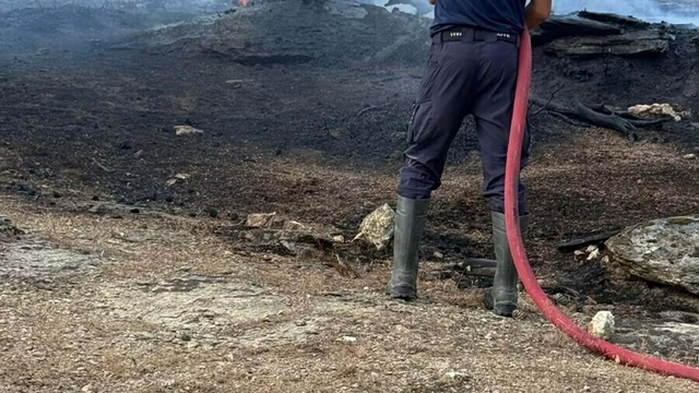 Aydın Çine'de orman yangını (2)
