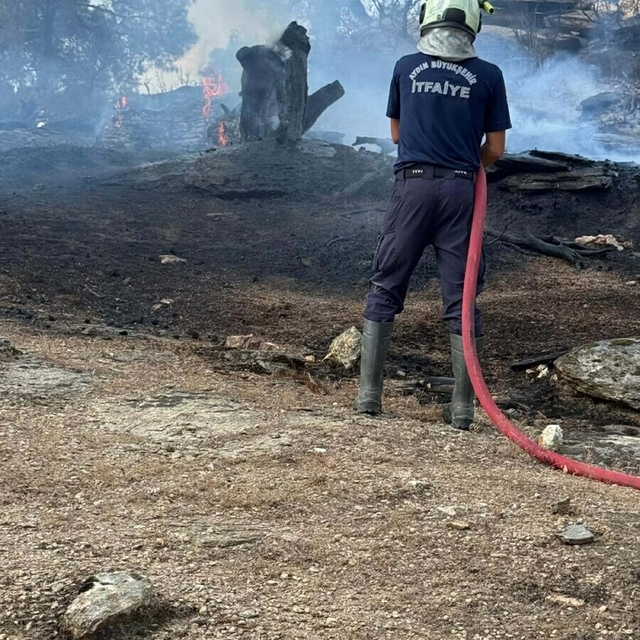 Aydın Çine'de orman yangını (2)