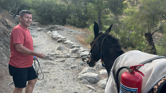 Antalya'da orman yangını (2)